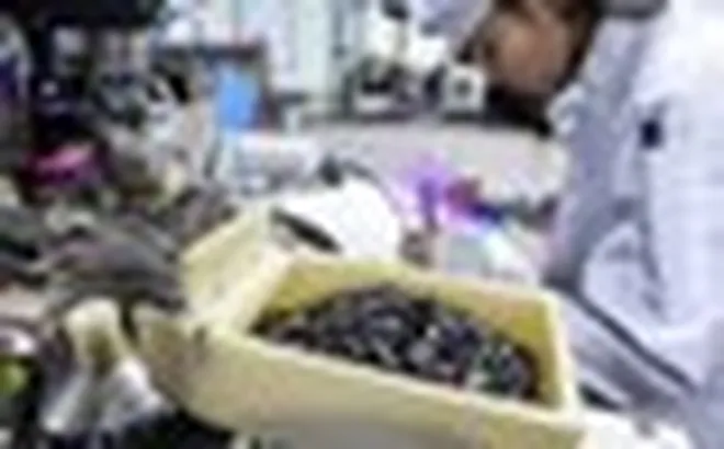 Cùng Nhật Bản, Việt Nam lập nhóm công tác khai thác “mỏ vàng nghìn tỷ USD”, 4 ĐH trọng điểm là thành viên